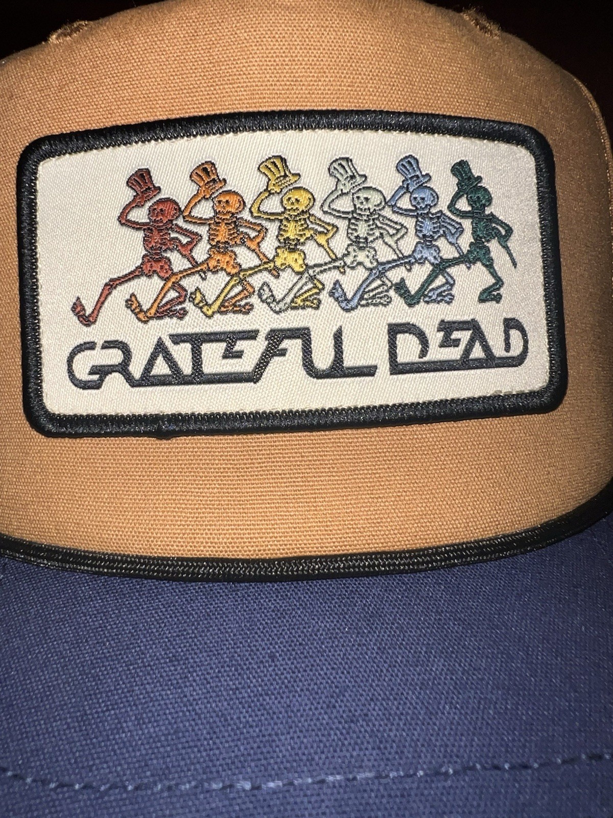 Grateful Dead Dancing Bears Snapback Hat Brown Blue Mad Engine One Size
