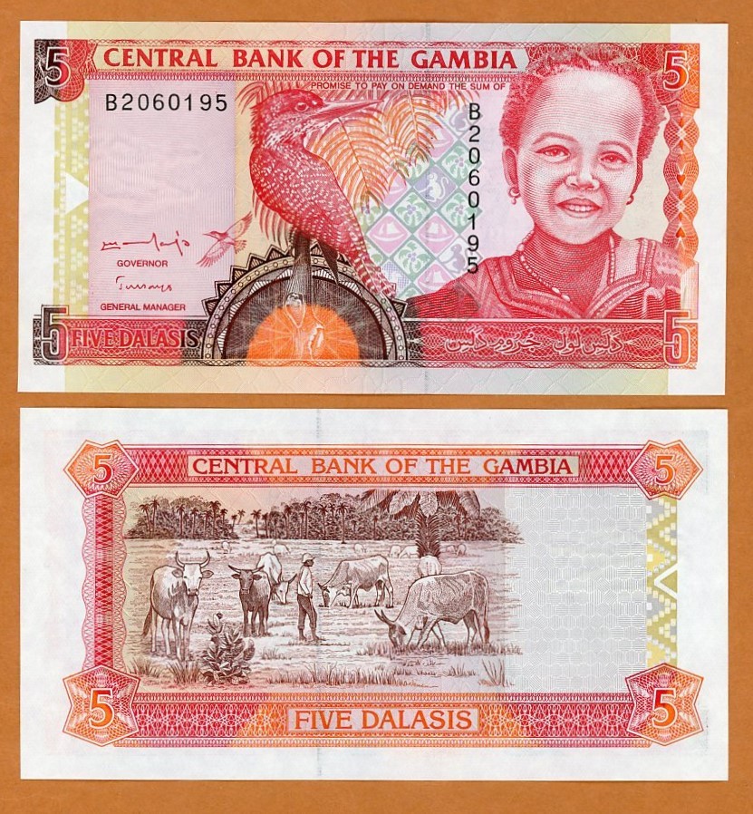 Gambia, 5 Dalasis, ND (1996) P-16 UNC Giant Kingfisher, Girl, Cattle