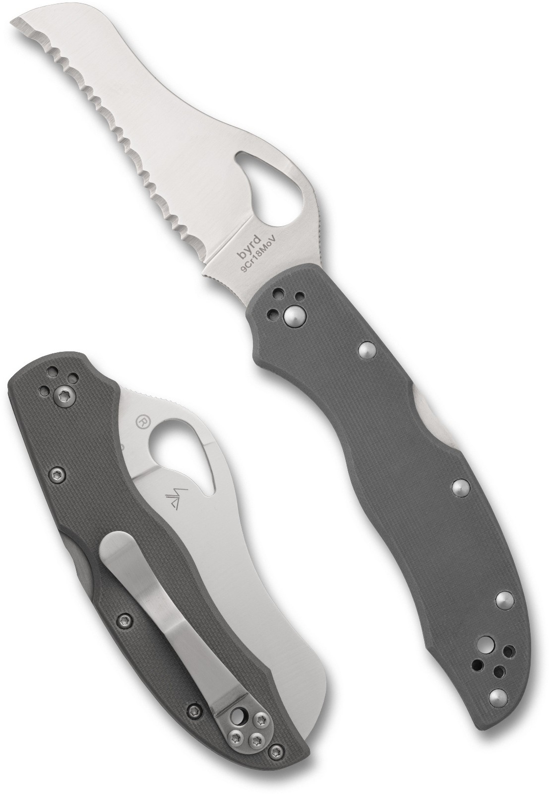 Spyderco Byrd Gooney, Peel-ply-textured G-10 Scales 9Cr14MoV Steel, BY24GSGY NEW