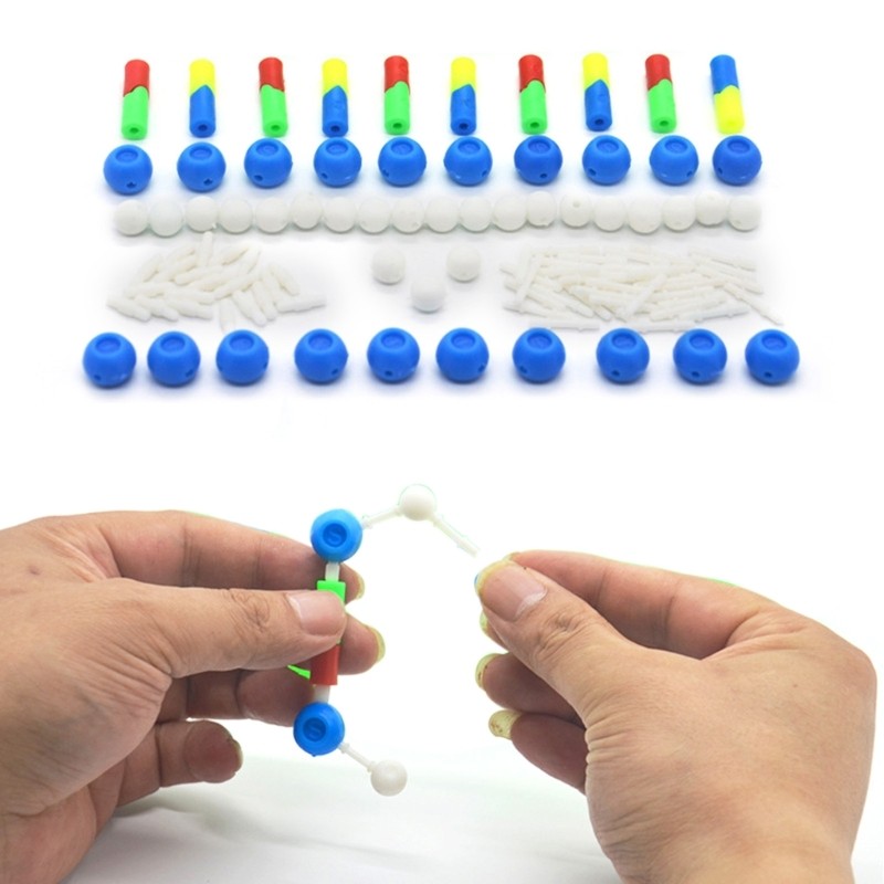 Double Helix DNA Models Set DNA Genetic Structure Models for Teaching