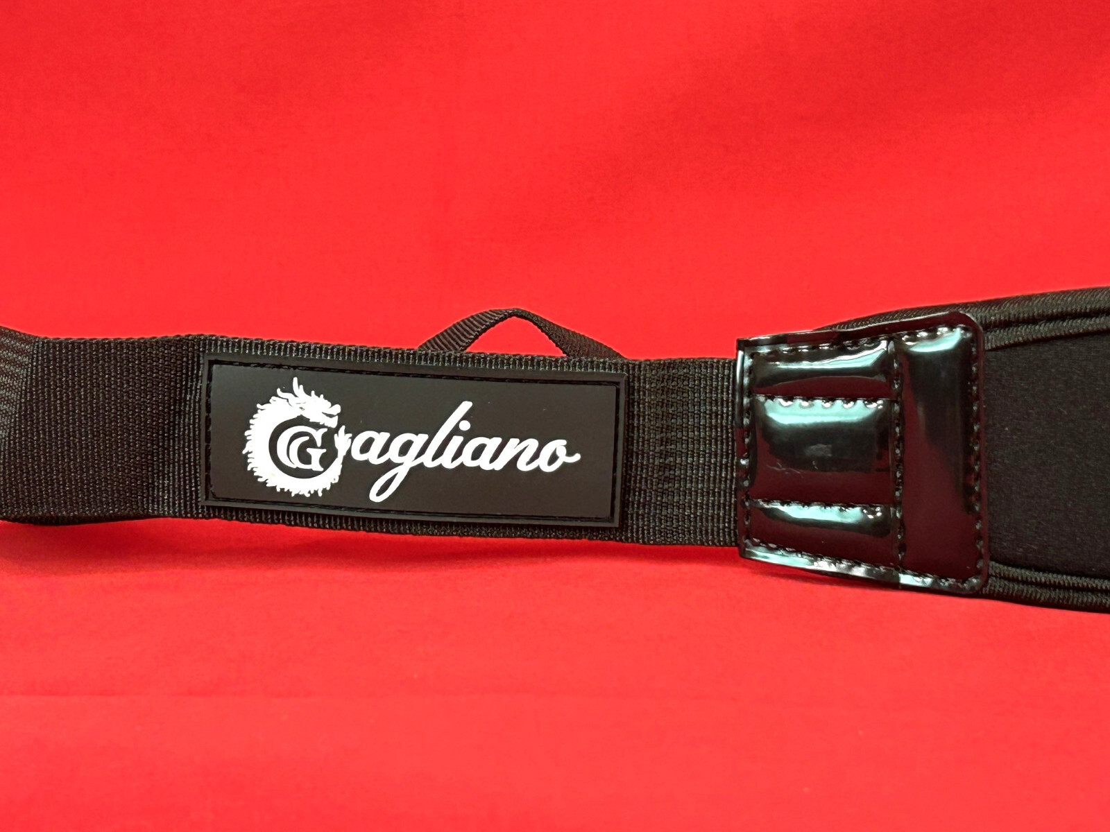 Gagliano Oblong Violin Case 4/4 Come with Rosin , Cloth , and More--Artisan Luxe