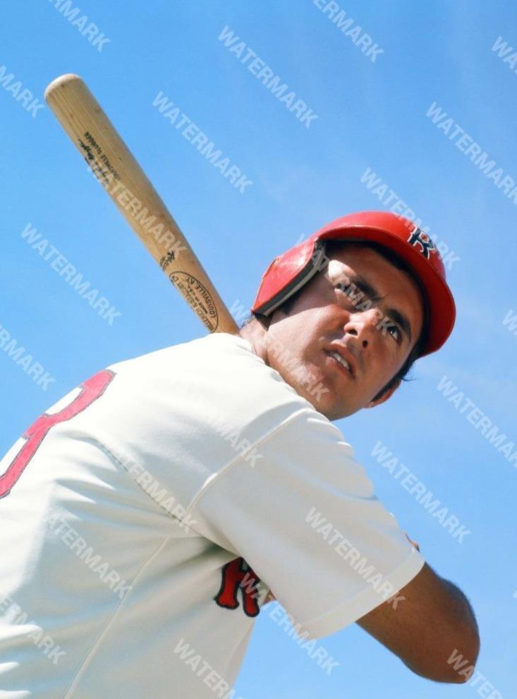 GT768 Fred Lynn Boston Red Sox 8x10 11x14 16x24 Photo