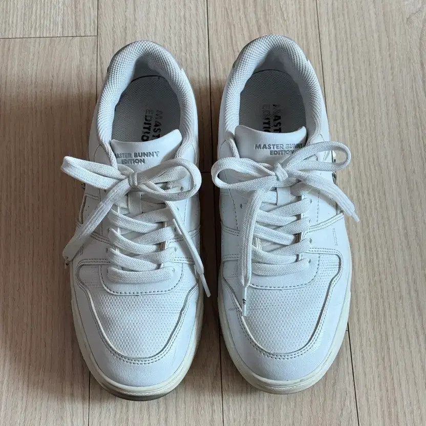 Masterbunny Golf Shoes Size 240 Official