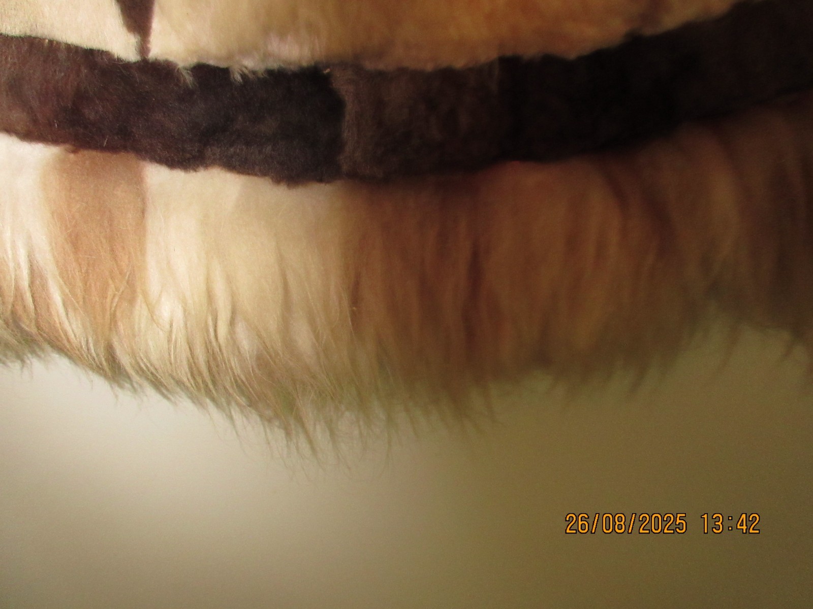 Vintage Alpaca Wall Hanging - LARGE (5' Diameter) - An Instant "Eye Catcher!"