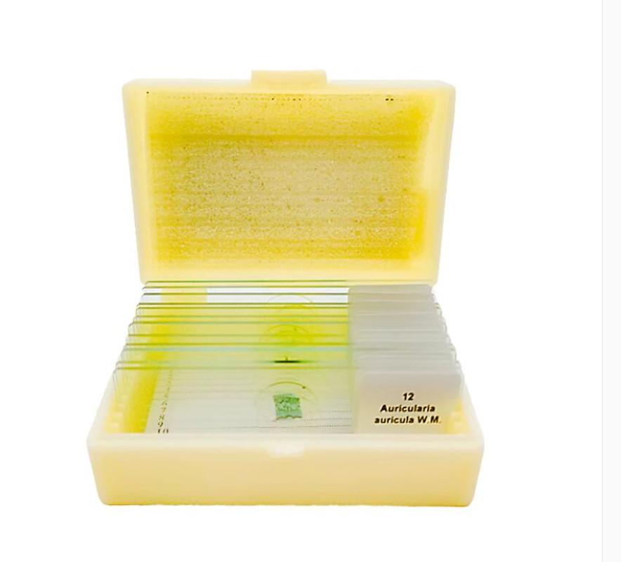 12PCS Fungal Mold Microbial Glass Cell Specimen Microscope Slides