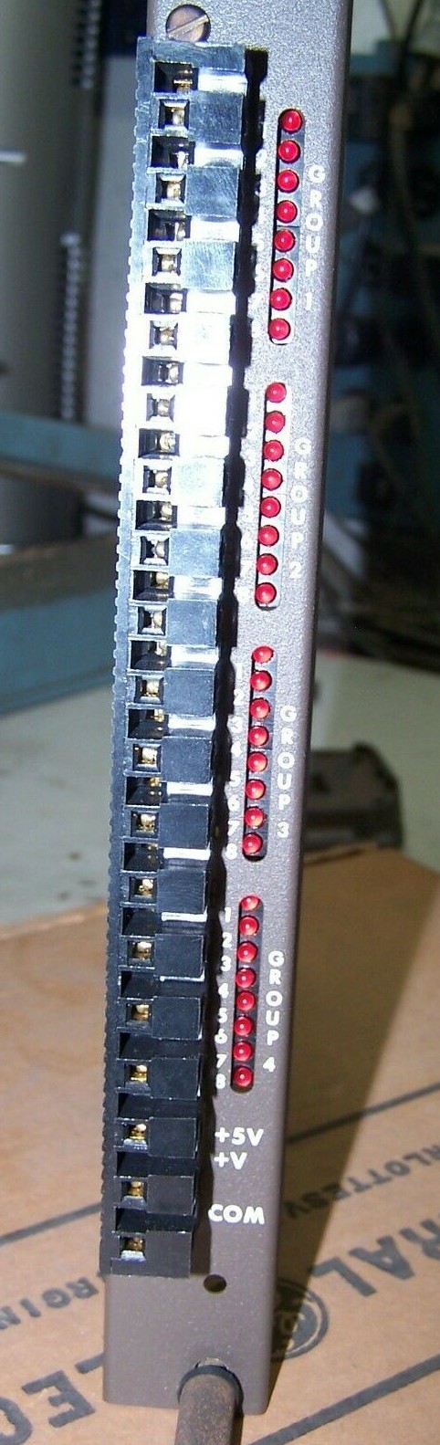 NEW GE IC600YB831B INPUT MODULE 5-50 VDC W/ LIGHTS