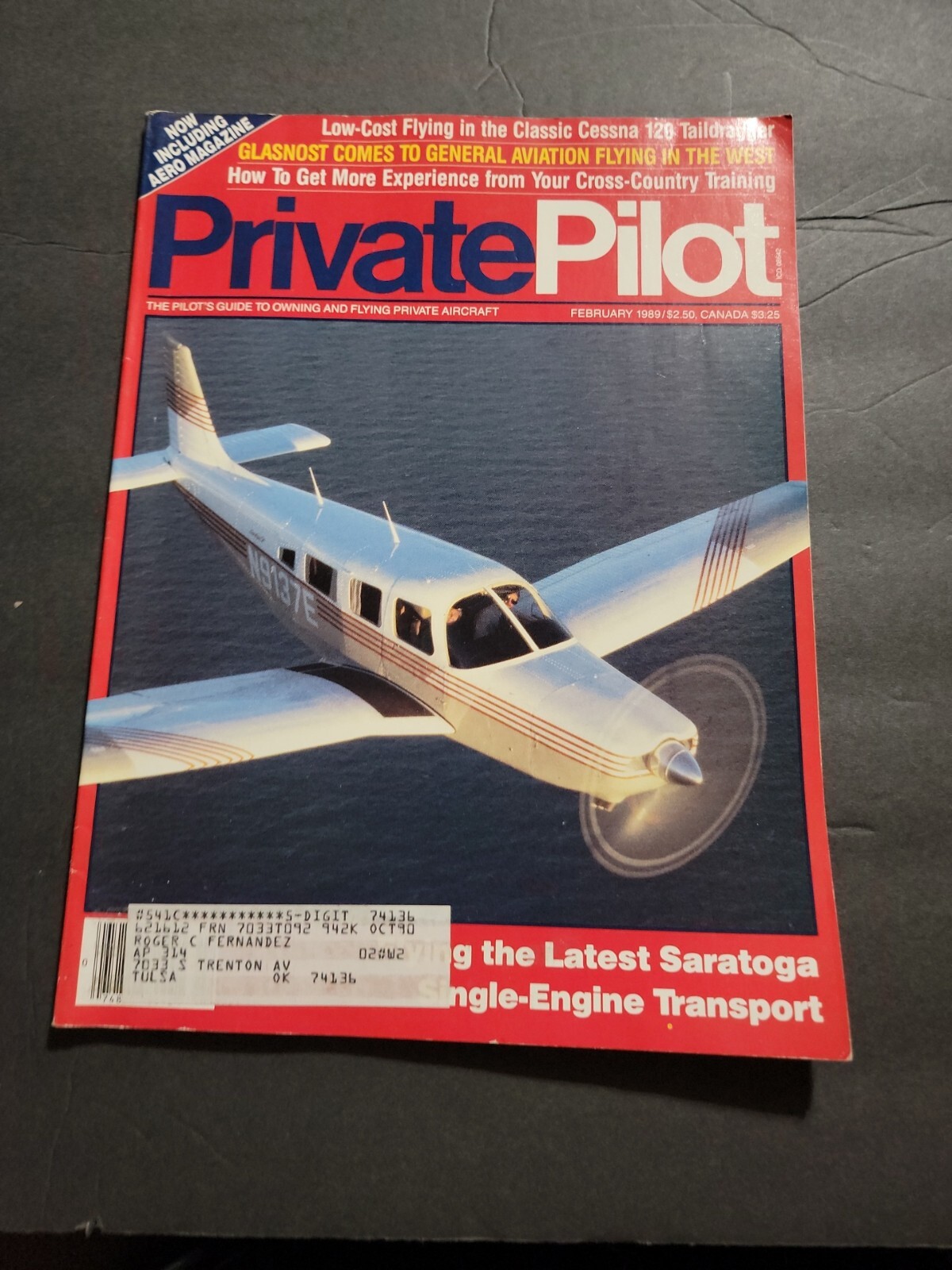 PRIVATE PILOT AVIATION MAGAZINE/LITERATURE FEBRUARY 1989