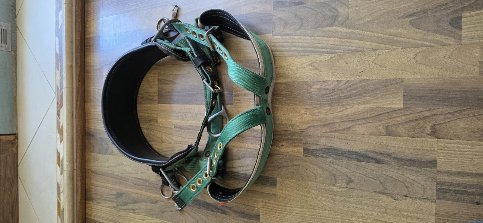 Buckingham Harness