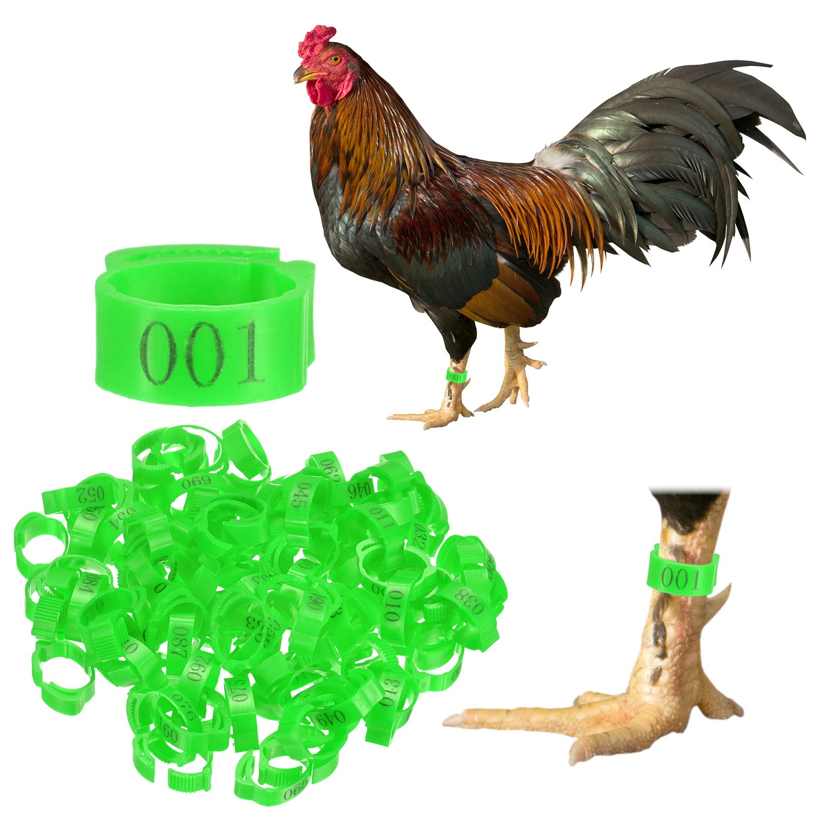 100-Pack Adjustable Chicken Leg Bands, 17-22 mm Plastic Chicken Leg Ring [Green]