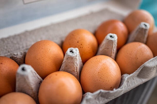 Farm-Fresh, Free-Range, Organic Large Size Eggs (w-bloom)  - 3 Dozen-non Fertile