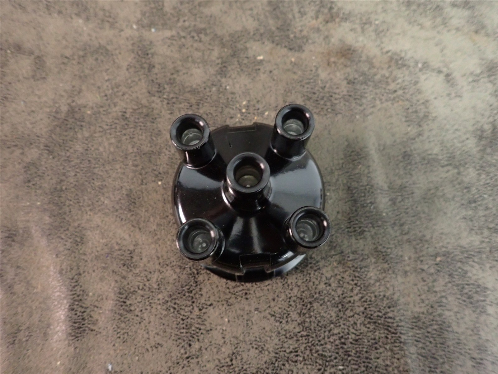 NEW WVE 5D1308 Distributor Cap (G208)