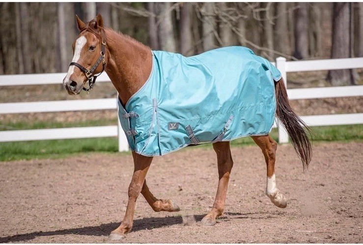 TuffRider 600D Winter Turnout Sheet 78” Waterproof Horse Blanket Standard Neck