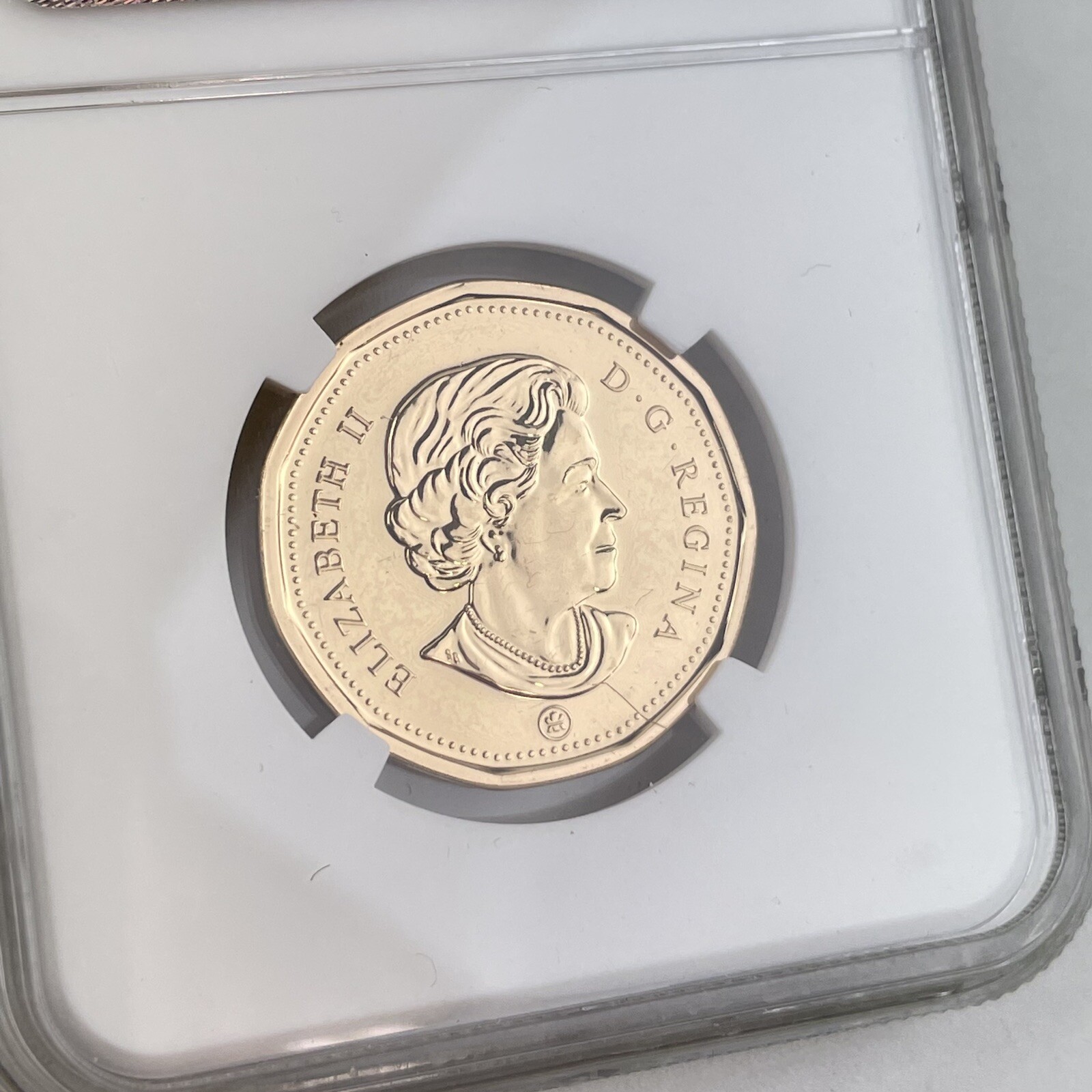 2010 Loon Canada $1 One Dollar MS 65 MS65 NGC Graded