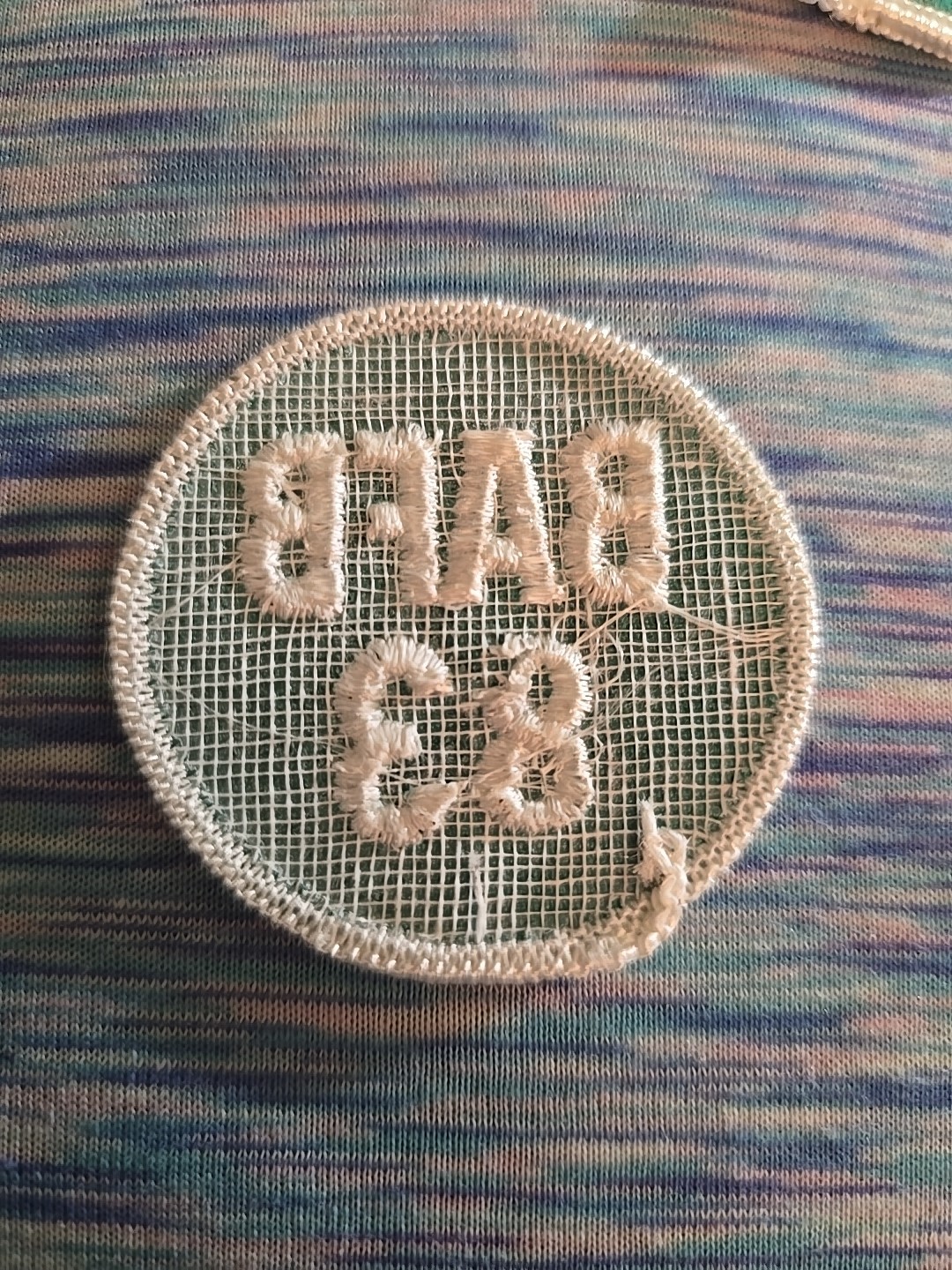 Vintage BAFB 81 Patch Barksdale Air Force Base,83st Fighter Weapons Squadron