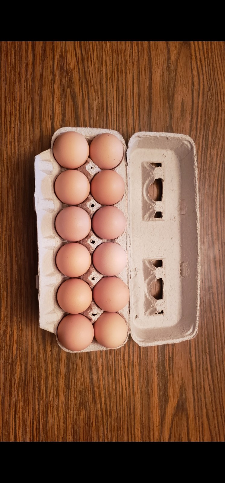 12+ Barnyard Mix Fresh Fertile Hatching Eggs FREE RANGE
