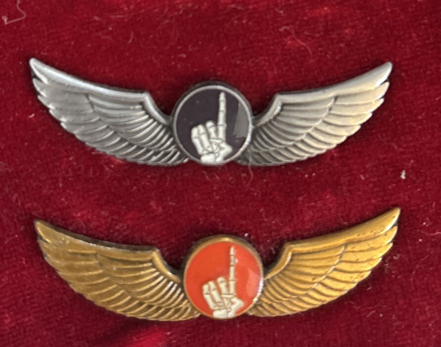Pair Of Miracle Wings