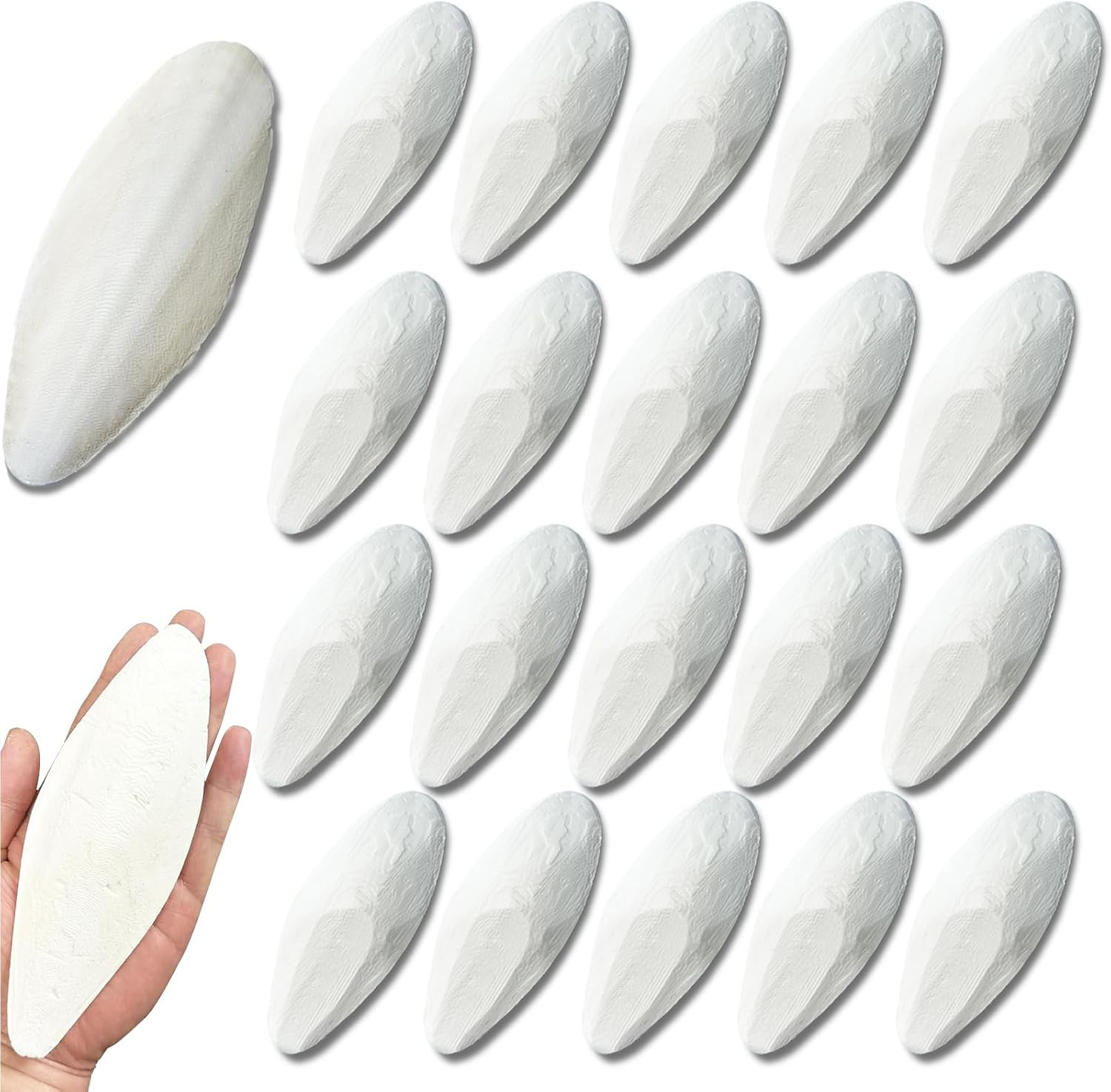 Bird Cuttlebone for Parakeets Cuttlebone for Birds - Natural Cuttlefish Bone Bul