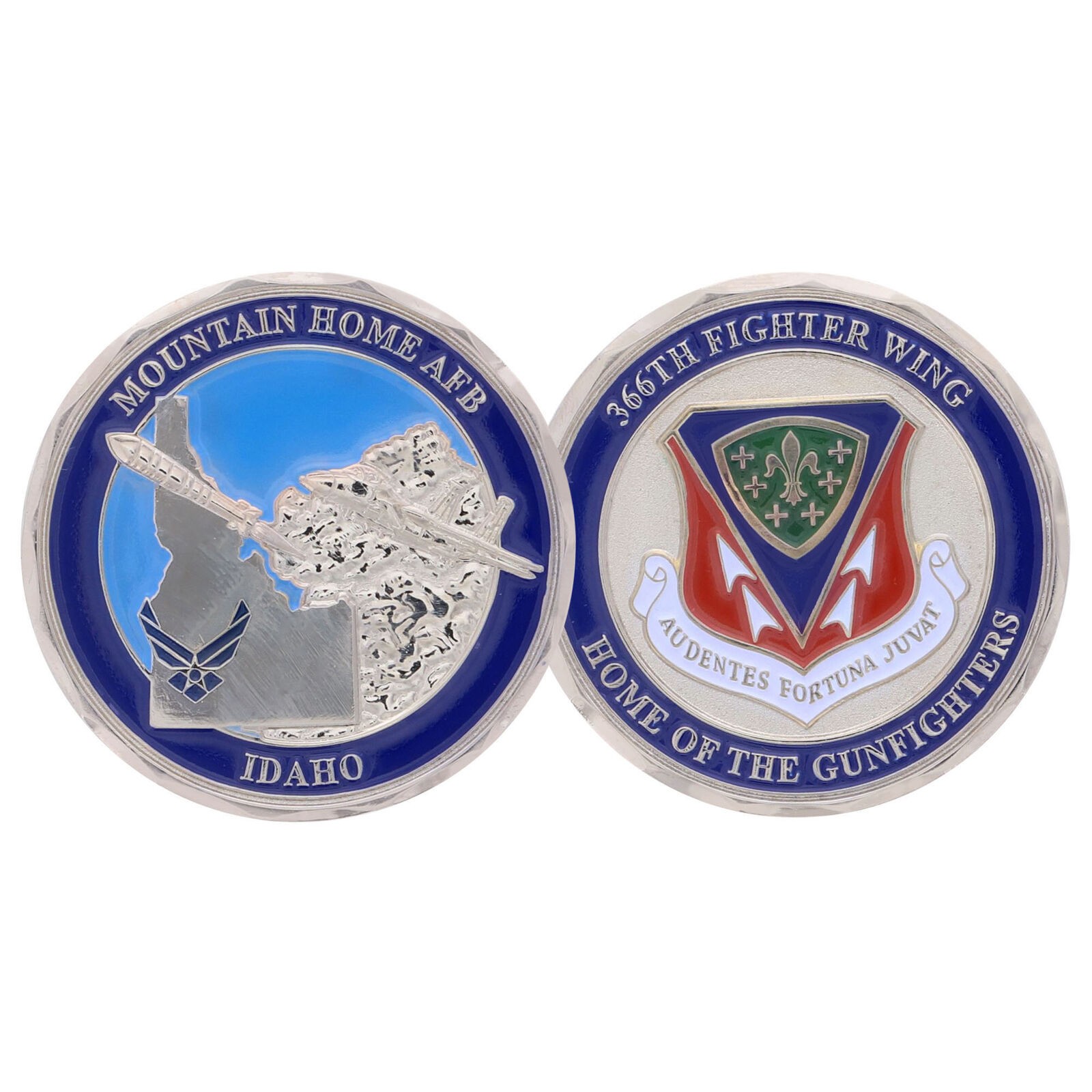 MOUNTAIN HOME AIR FORCE BASE 1.75" CHALLENGE COIN 366TH FIGHTER WING
