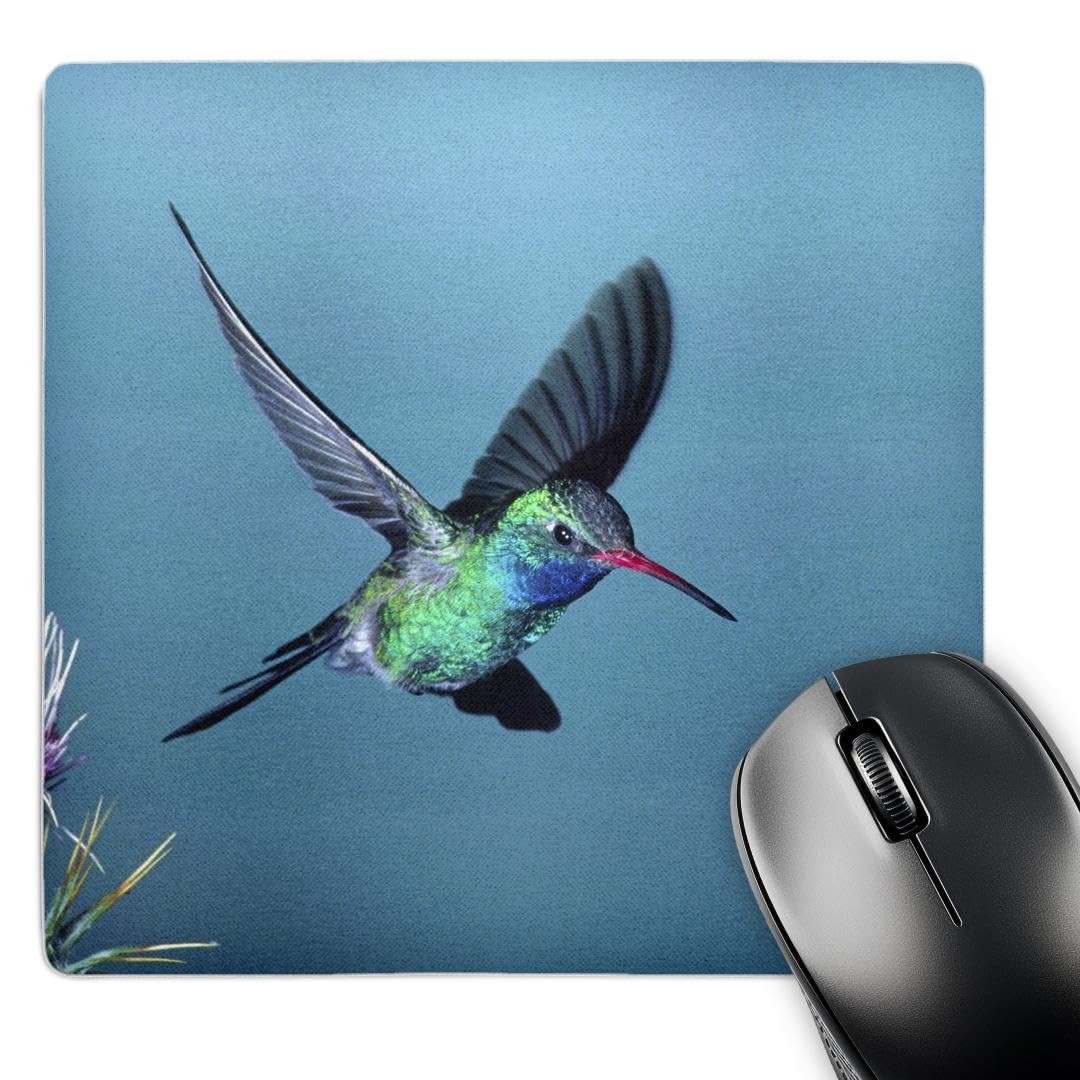 3dRose Broad-Billed Hummingbird Mouse Pad, 8x8x0.25", Southern Arizona Wildlife