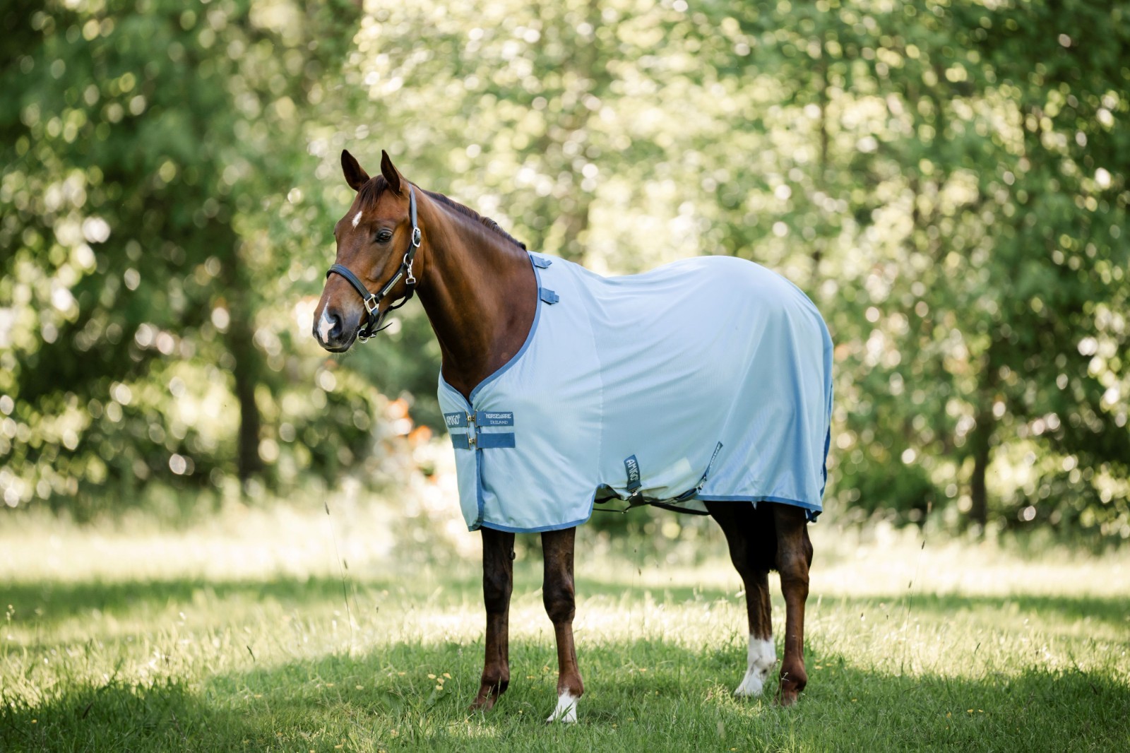 Horseware Amigo Bug Rug Fly Sheet - No Hood