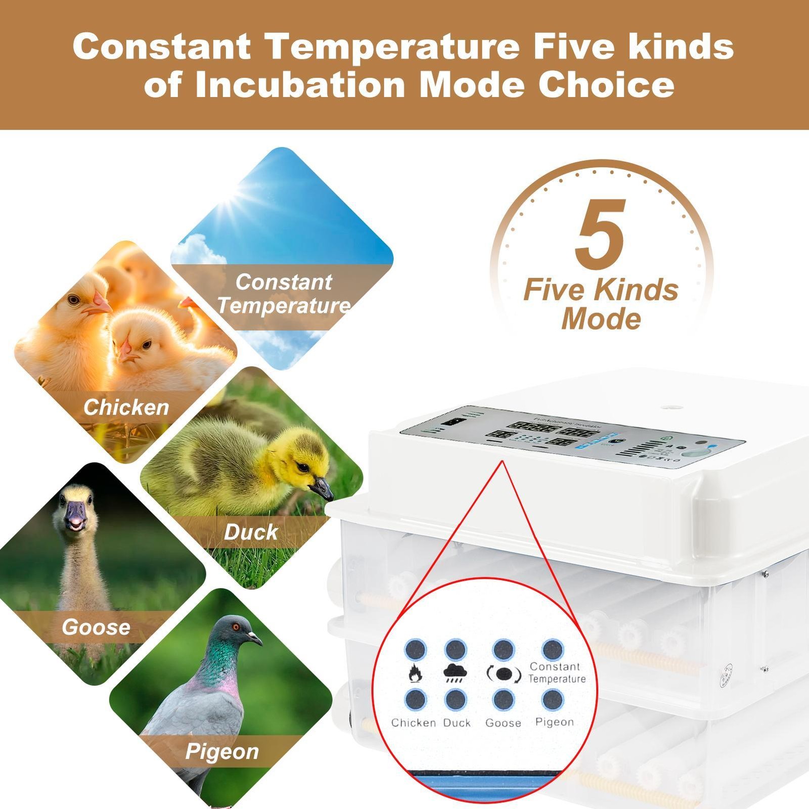 120 Eggs Incubator Automatic Egg Turning Function For Hatching Chicken Quail