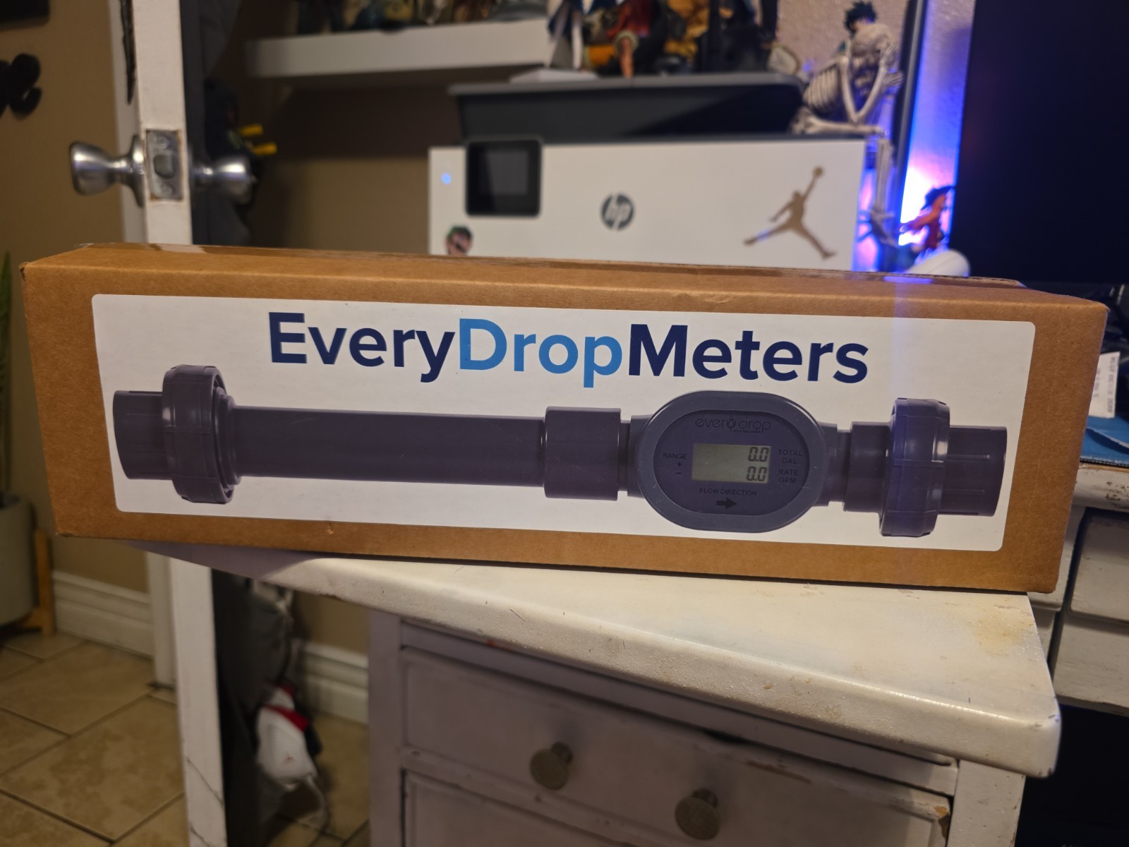 EveryDropMeters 1 in 2-Wire Flowmeter w/ Extensions, Model 1004-EX