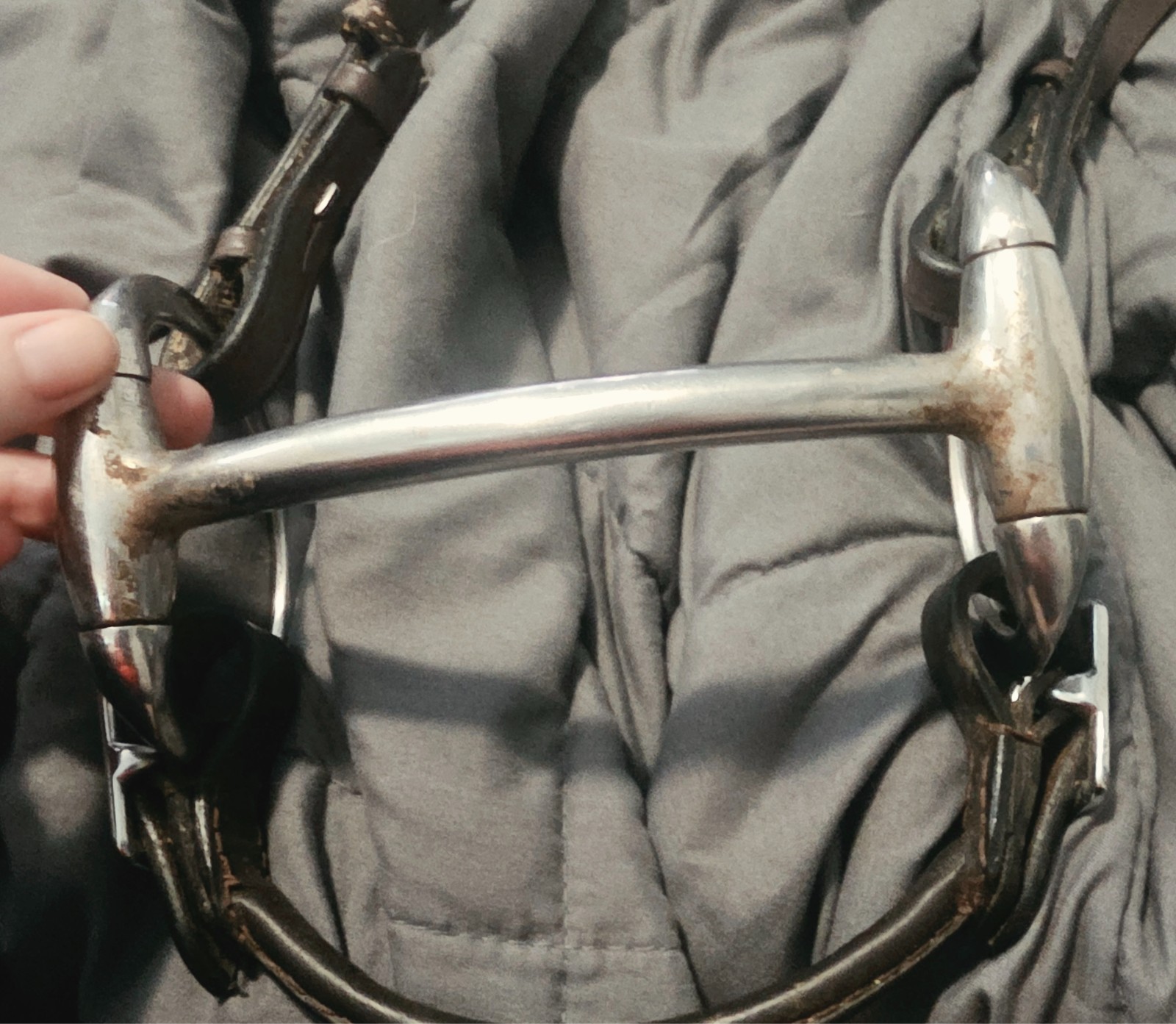 mullen or myler low port snaffle bit
