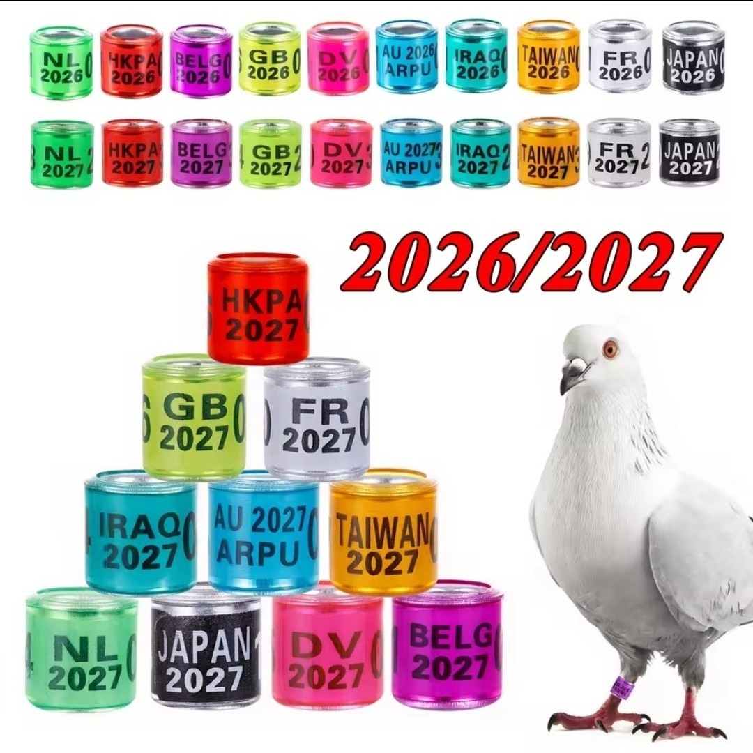50 Pigeon Ring **2027** Anillo De Palomas 10 Different Color