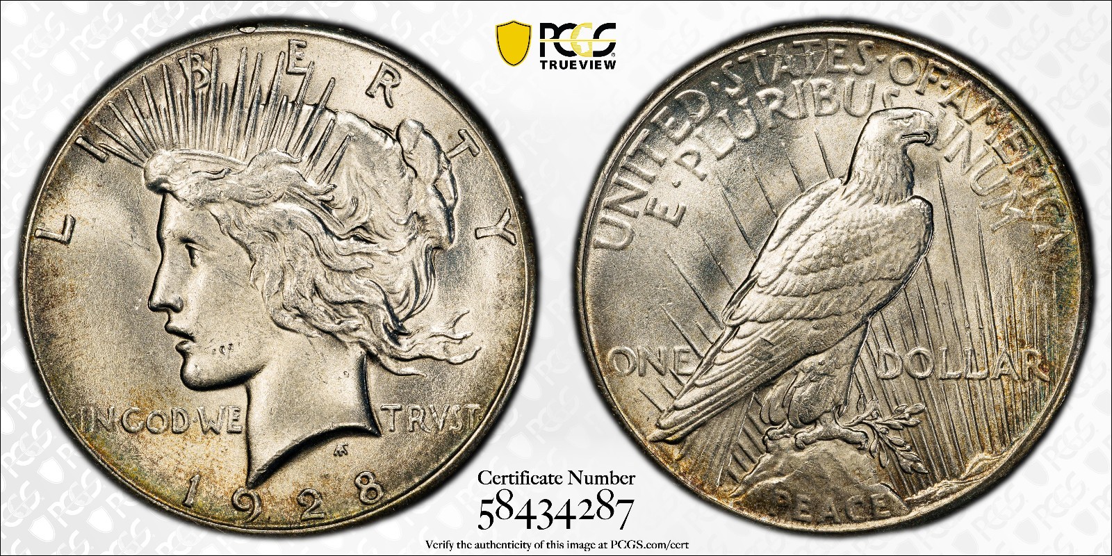 1928 Peace Silver Dollar PCGS Scratch-AU Detail