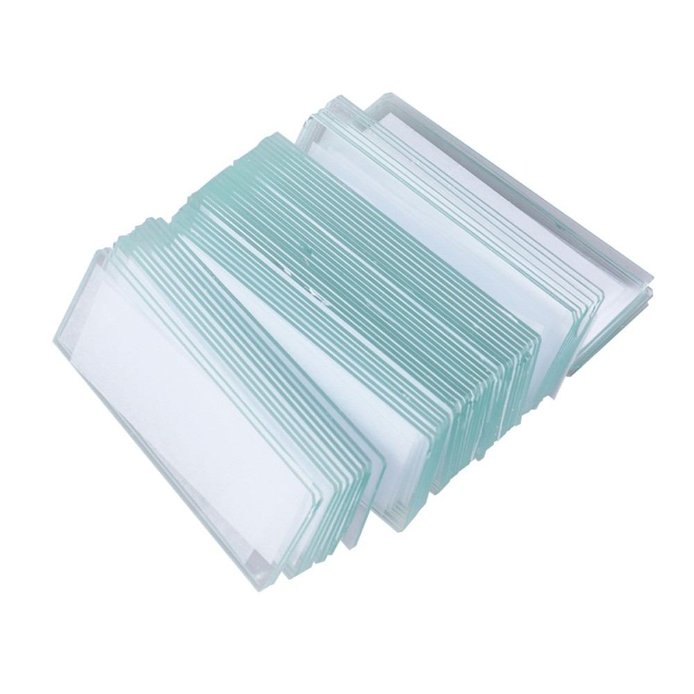 50 Slides Prepared Microscope for Basic Biological Science Education