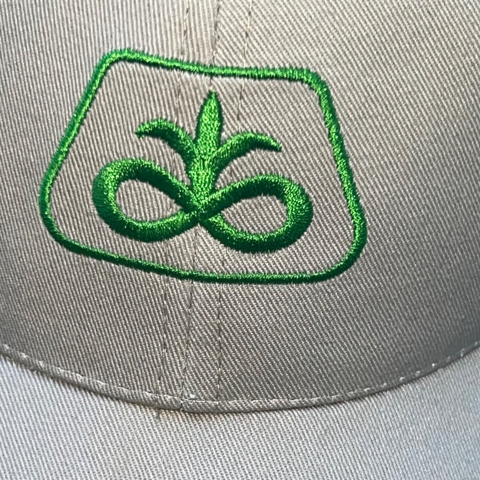 Pioneer Seed Corn Logo on Green Tan Hat CapLoop Strap Buckle EUC