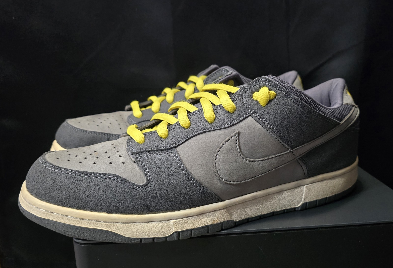RARE Nike Dunk Low Pro B Lightning Dunk SB