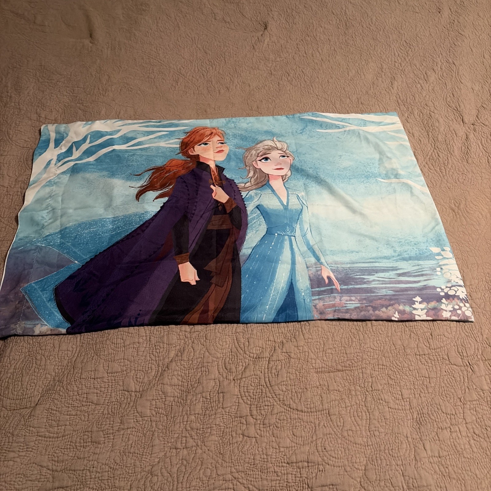 Disney Frozen II "Journey of Truth" 2 Standard Reversible Pillowcases