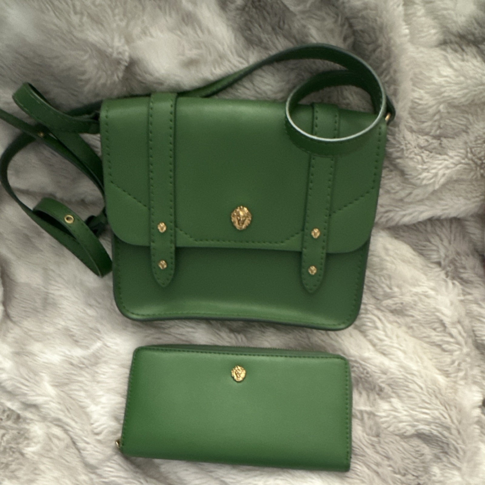 Anne Klein beautiful green Crossbody and matching wallet. New without tags.
