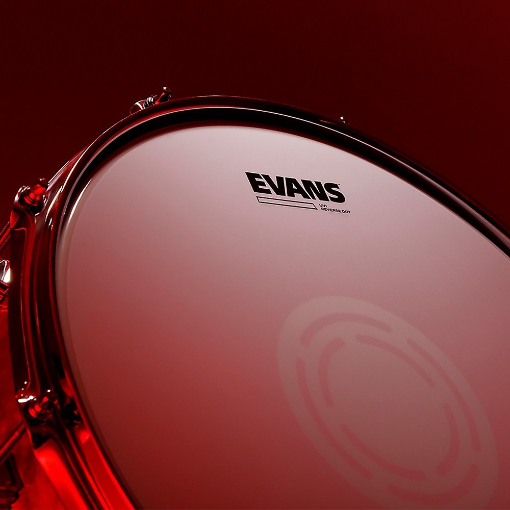 EVANS UV1 Reverse Dot Coated Snare Batter Drum Head 13 in.