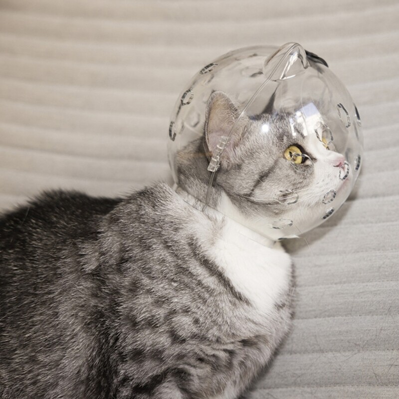 Cat Muzzles Breathable Transparent Muzzle Grooming Mask Astronaut Helmet