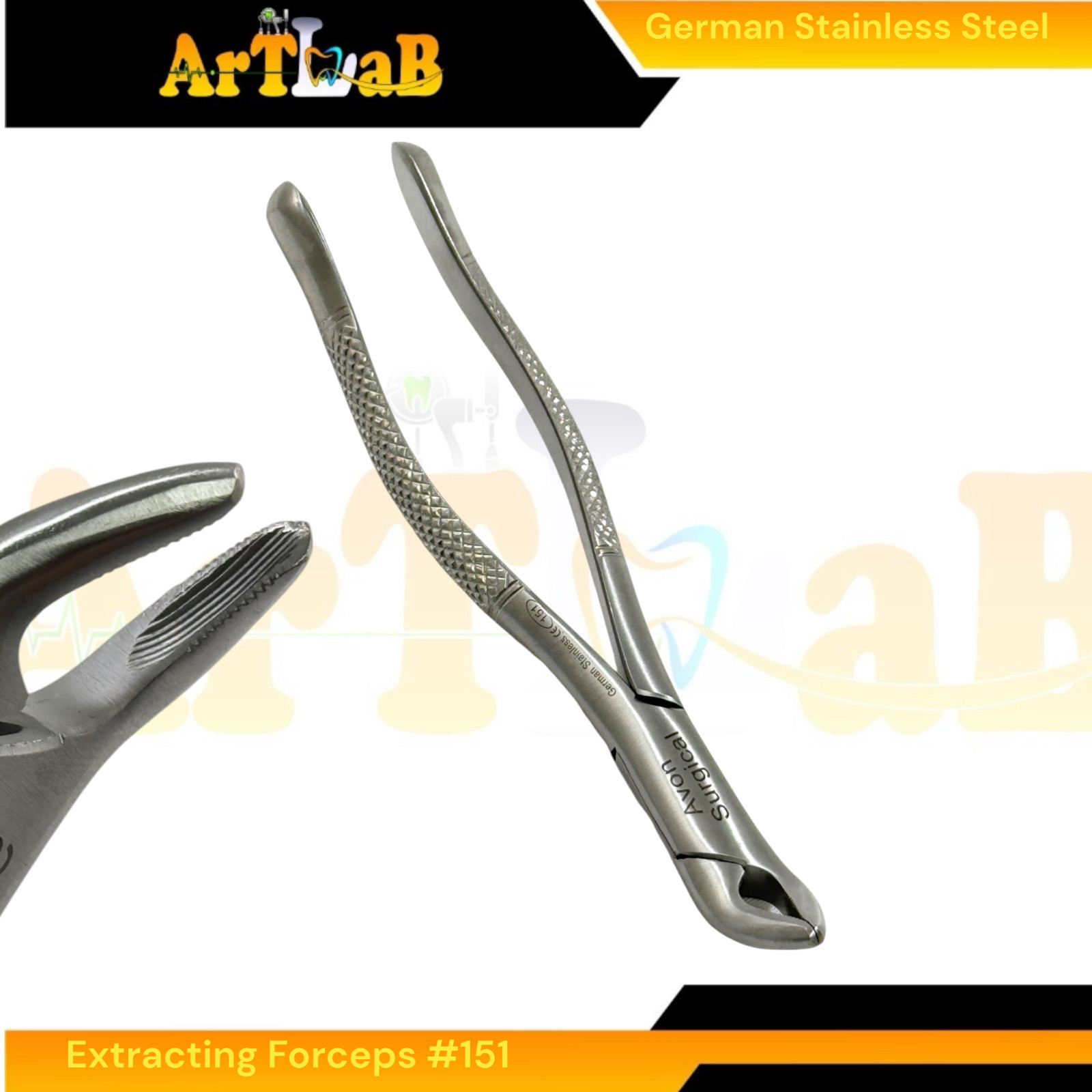 Universal Lower Tooth Extraction Dental Forceps No. 151 | German Steel (1pc)