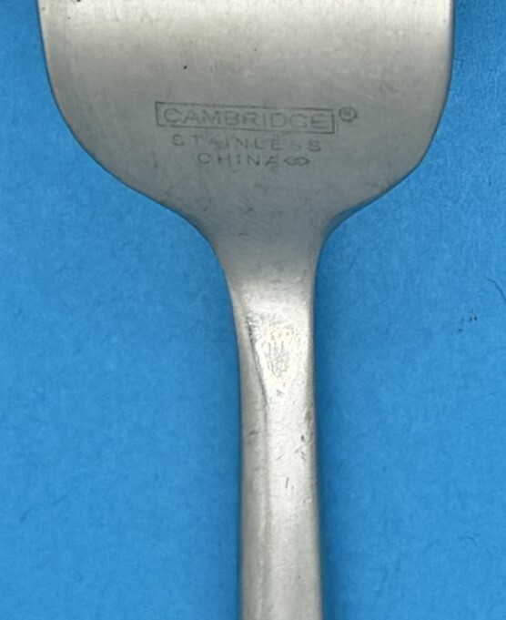 CAMBRIDGE APPLAUD GLOSSY STAINLESS FLATWARE PLAIN OVAL HANDLE FLAT TIP - CHOICE