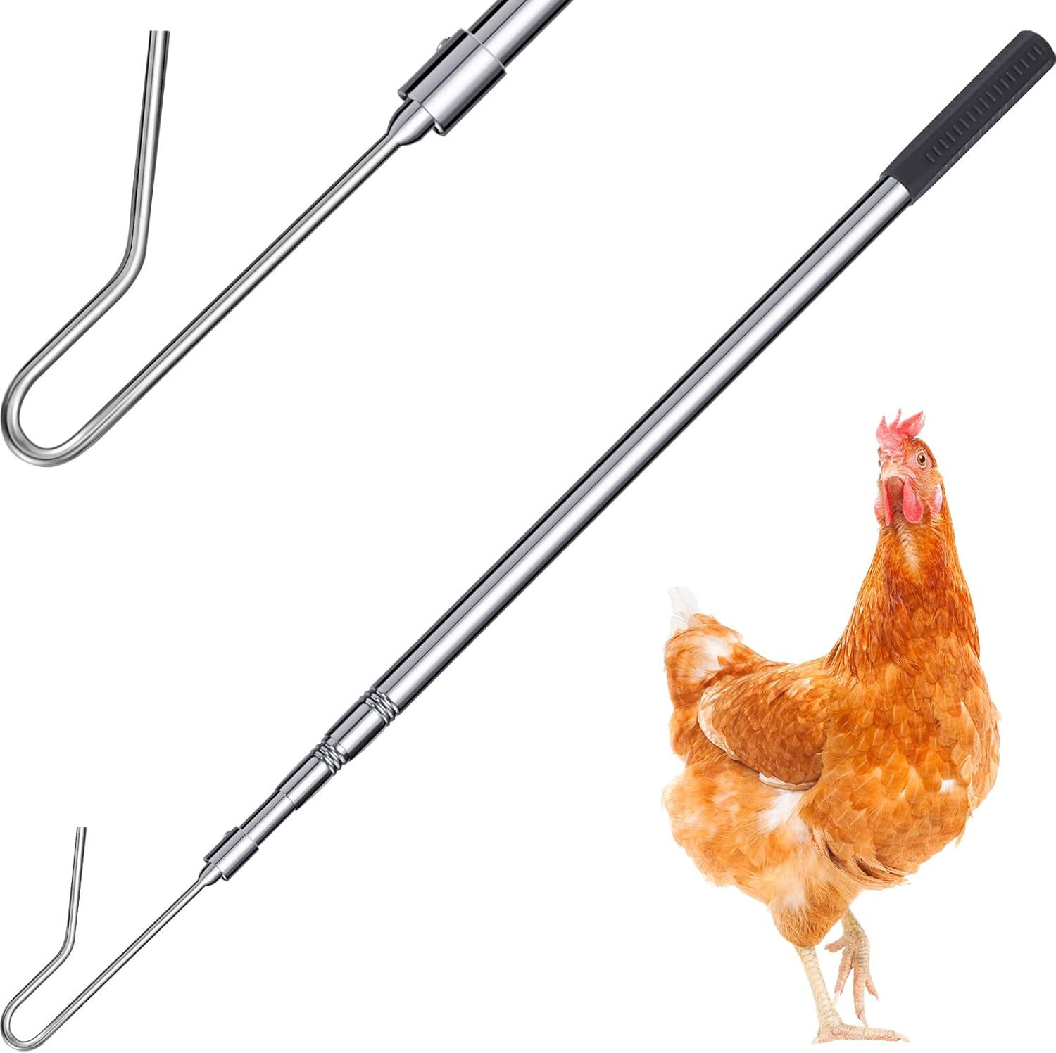 Chicken Catcher Leg Hook Stainless Steel Retractable Long 24 to 59 Inch Chicken
