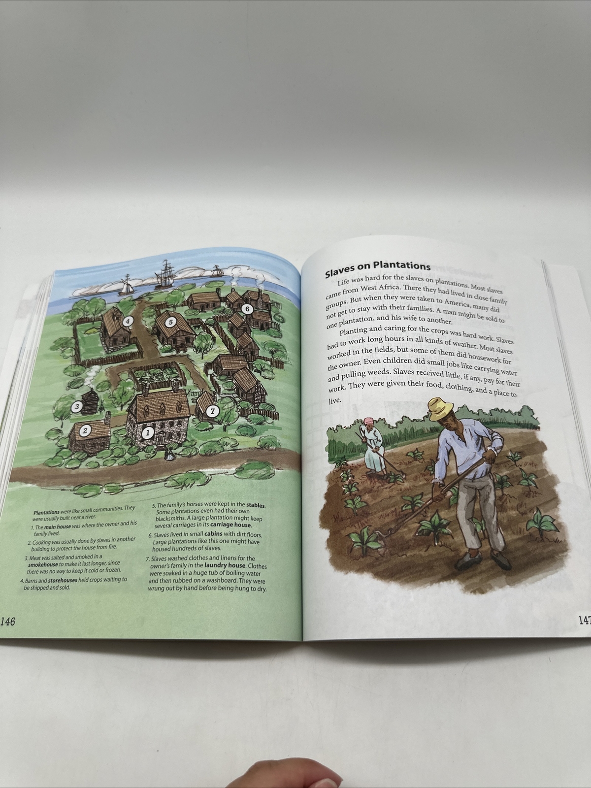 BJU Heritage Studies 2 Student Text & Tests (3rd Edition) 2nd Grade History