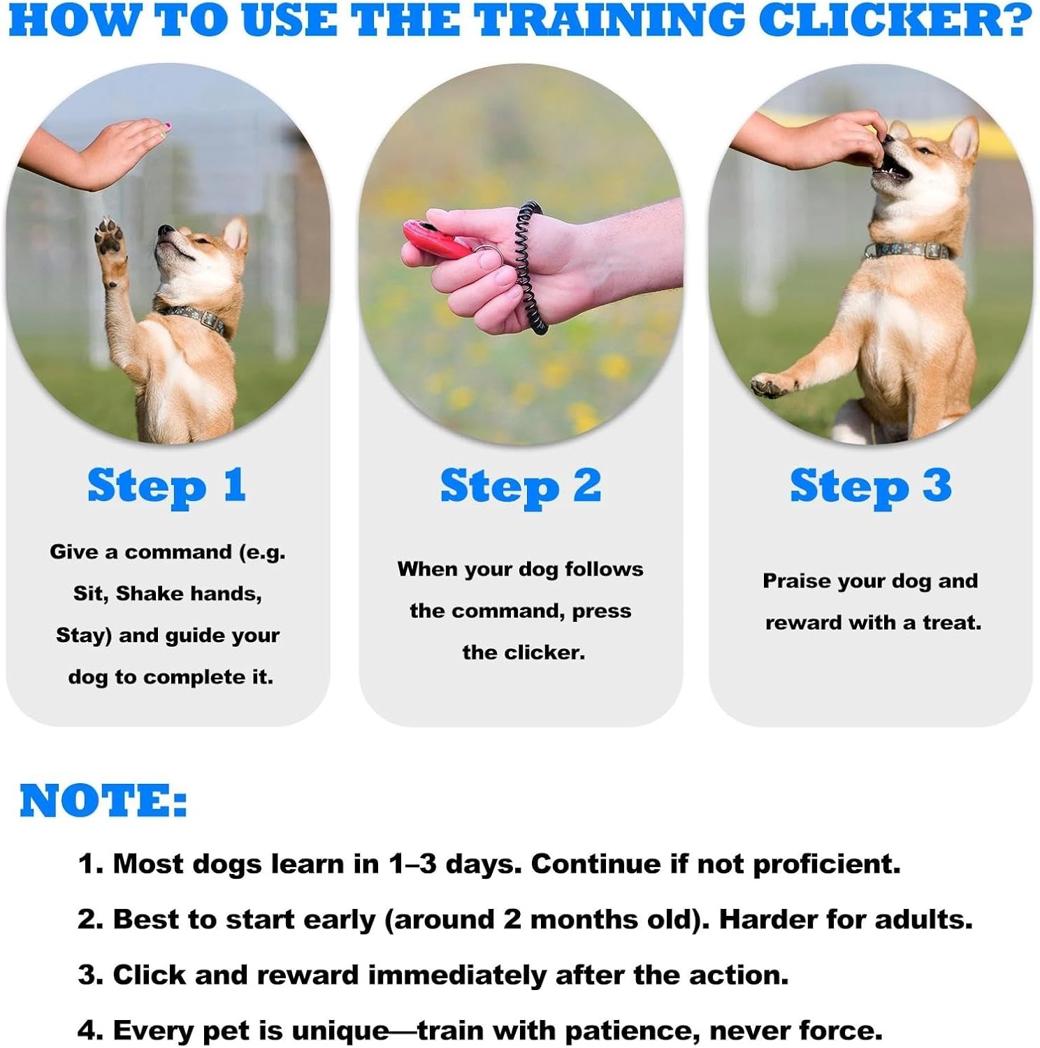 ABSONE Pet Training Clicker w/ Strap 2 Pack Black Green