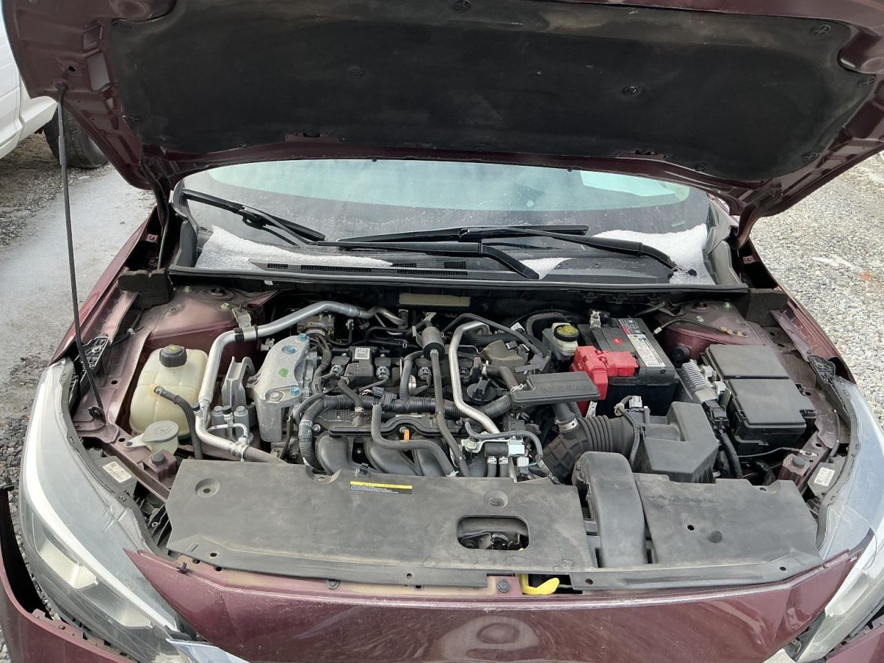 SENTRA 2021 Glove Box 4943851