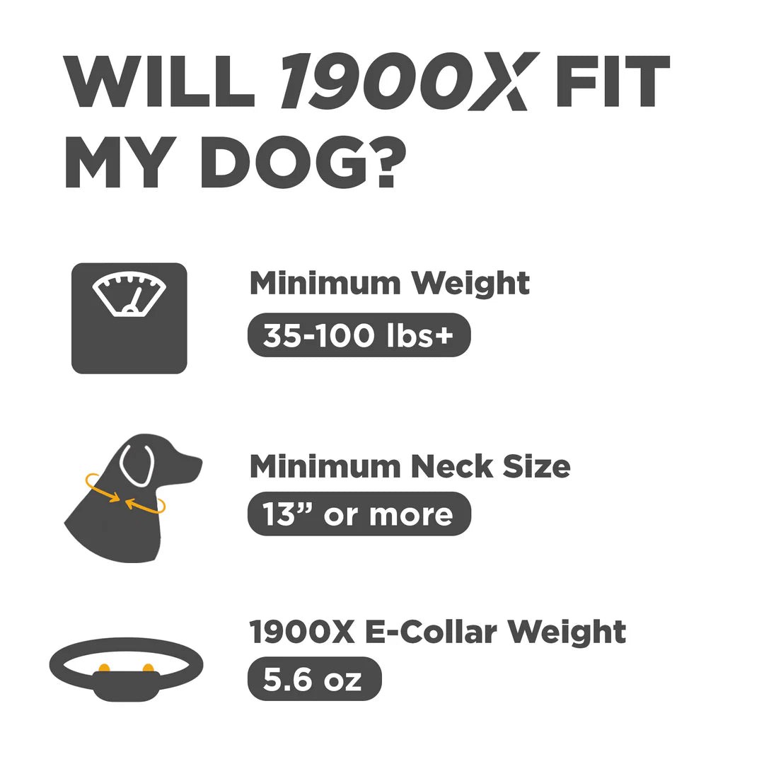 Dogtra Additional Collar for 1900X Blue LED E-Collar Light