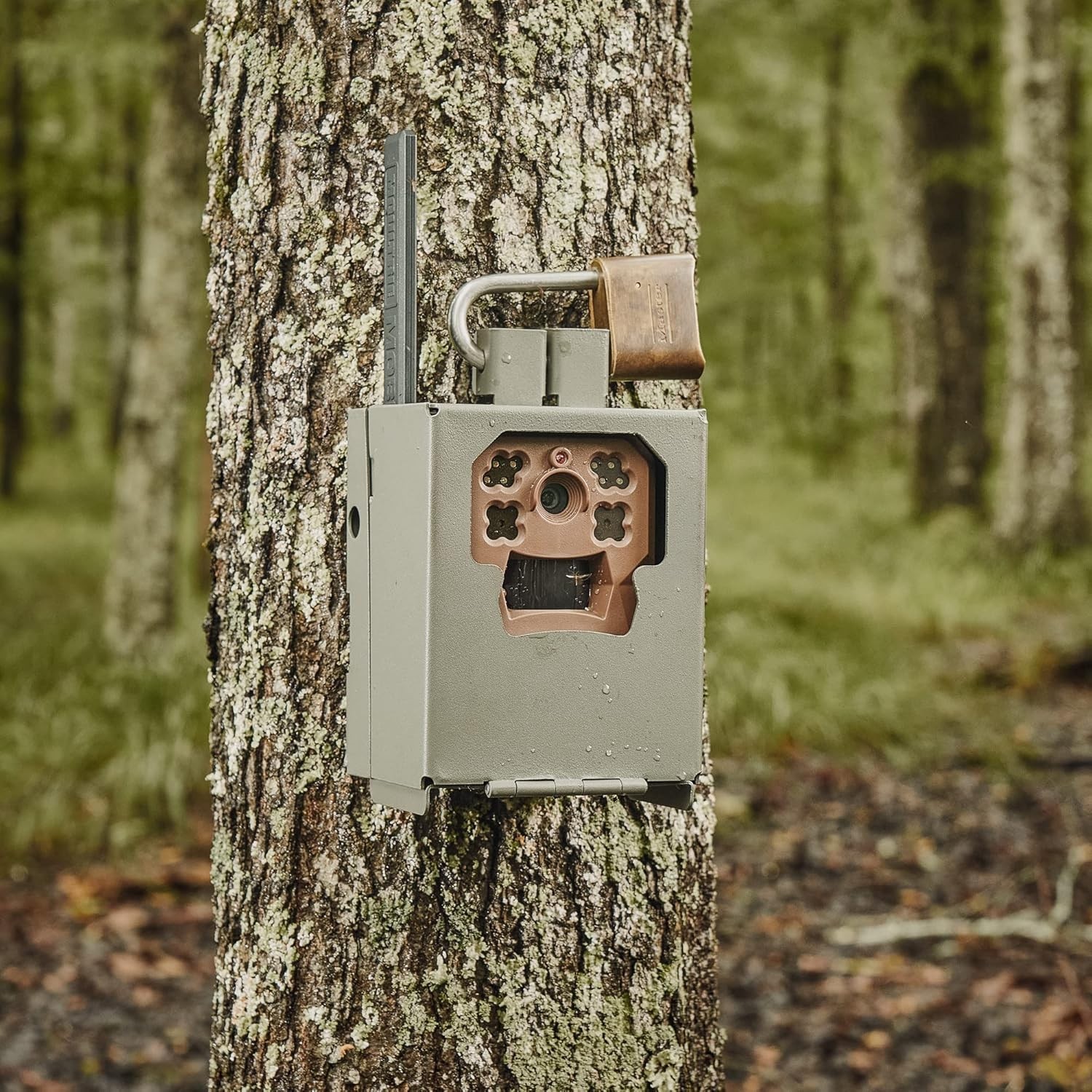 Weatherproof Security Box for Edge Trail Cameras - Includes Mounting Hardware
