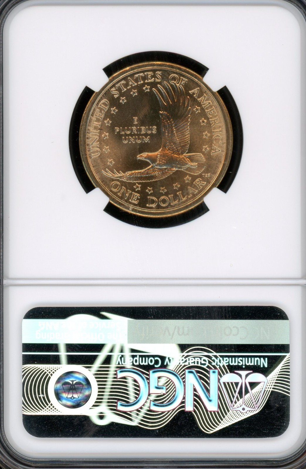 2000 P SACAGAWEA DOLLAR NGC MS69 SMS MAC FINEST & SPOTLESS .