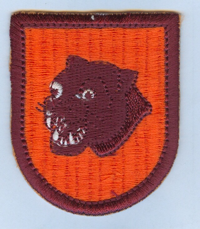 Army JROTC Flash - CROOMS ACADEMY OF TECHNOLOGY (SANFORD, FL)
