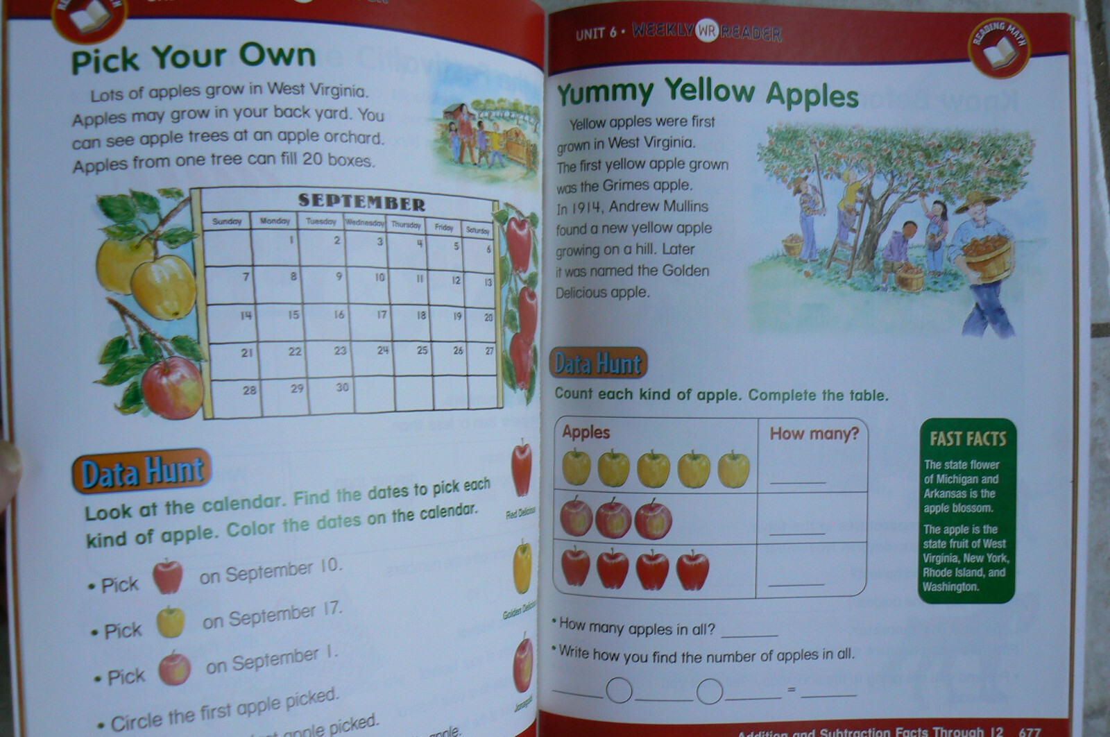 Houghton Mifflin MATH 1/1st Student Resources:Glossary,Workmats,Activity Almanac