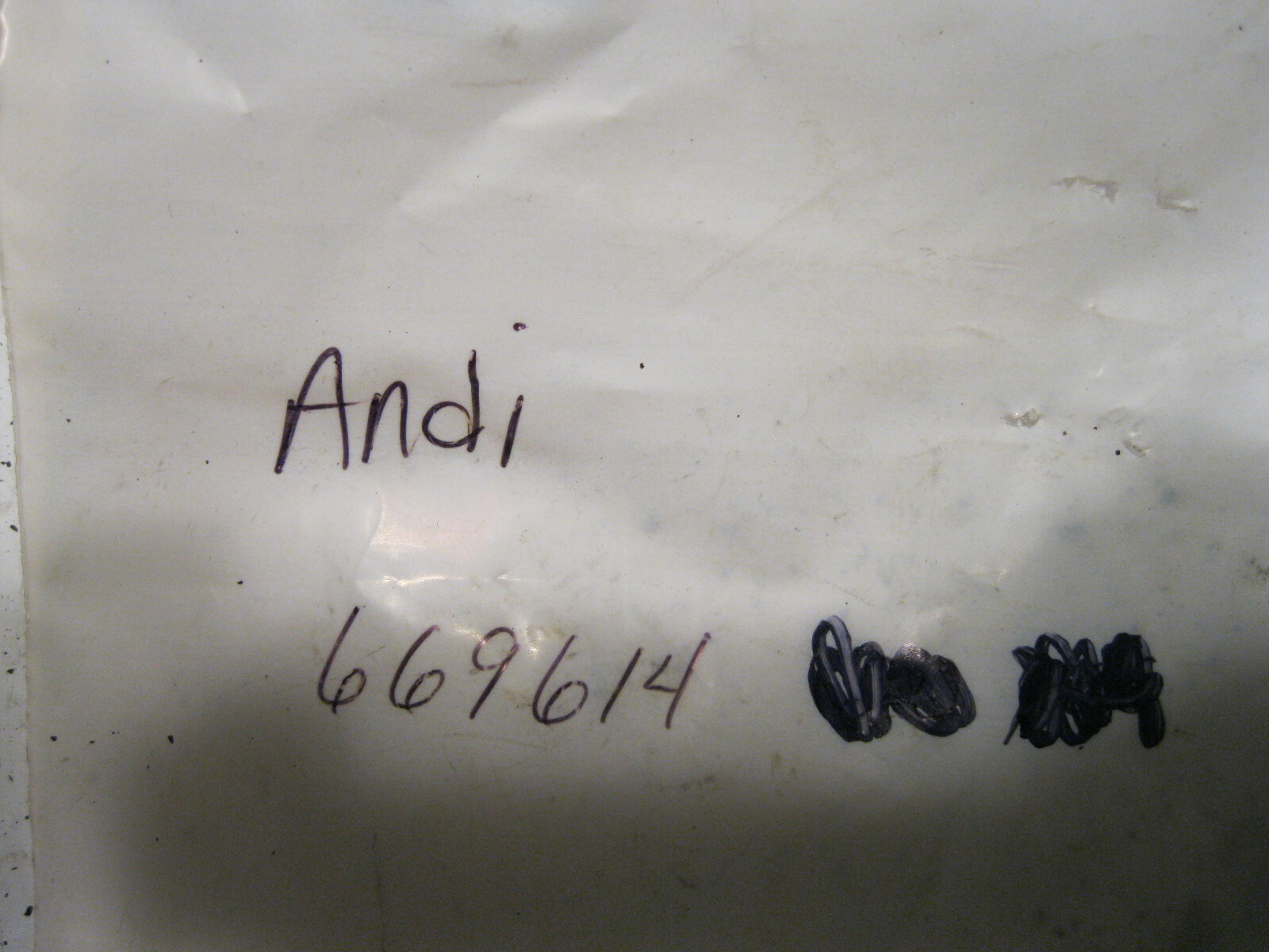 Andi Forklift SHIM 669614