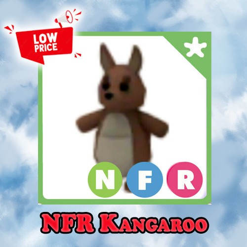 NFR Kangaroo - Adopt right now