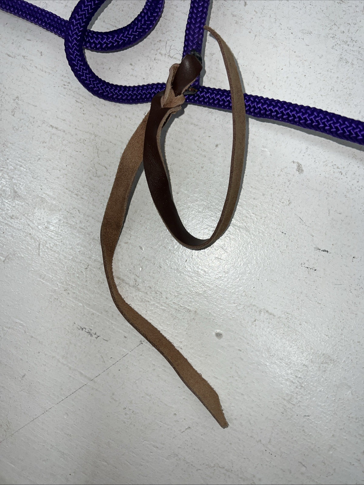 New Tough 1 Purple Heavy Cord Pocket Halter #50-1005 H-501